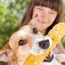 Gluten (Gliadin)-freies Futter