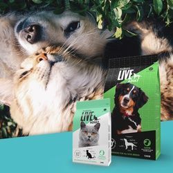 Studie bestätigt positive Wirkung von Enterococcus faecium auf das Mikrobiom