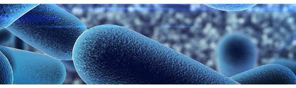 Microbiota: An important player in the health and well-being of our pets