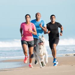 Need a new running-partner?