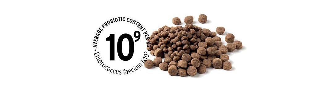 Pet food containing pre- and probiotics