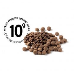 Pet food containing pre- and probiotics