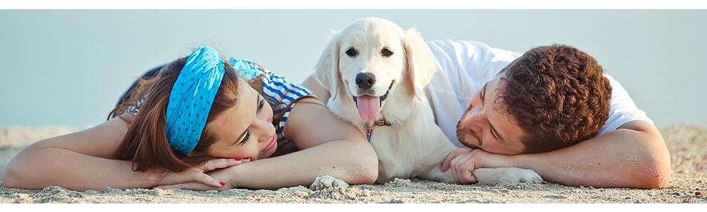 Guidelines for a fun and happy summer with your pet