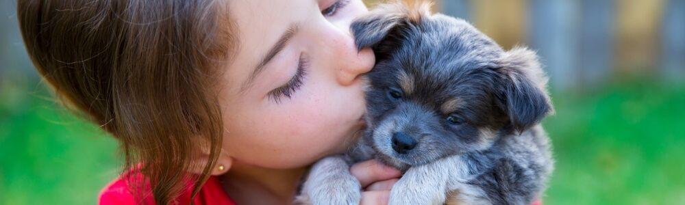 8 gute Tipps für Welpen