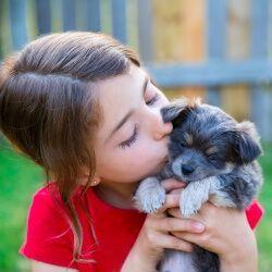 8 gute Tipps für Welpen