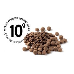 Warum sollte man Tierfutter mit Prä- und Probiotika verwenden?