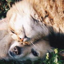 Tägliches Wohlbefinden