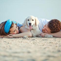 Guidelines for a fun and happy summer with your pet