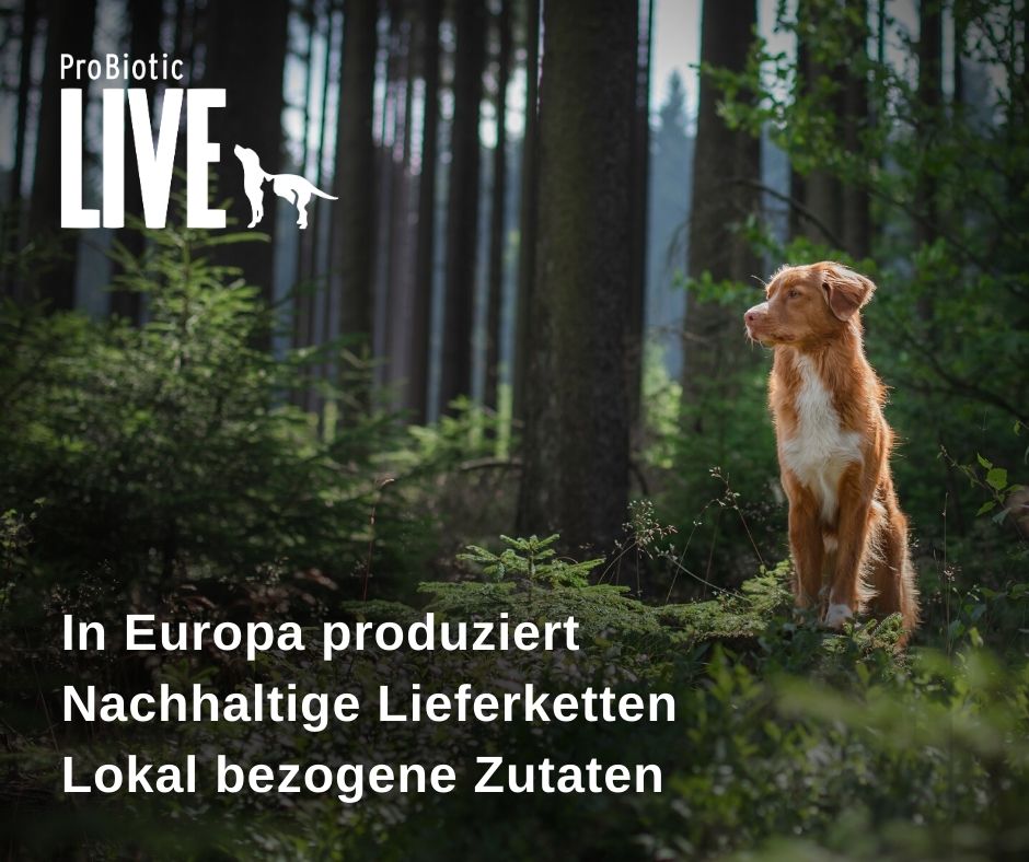In Europa produziert, Nachhaltige Lieferketten, Lokal bezogene Zutaten
