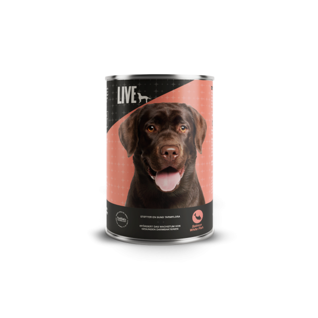 LIVE Dog Wet Lachs & Weißfisch