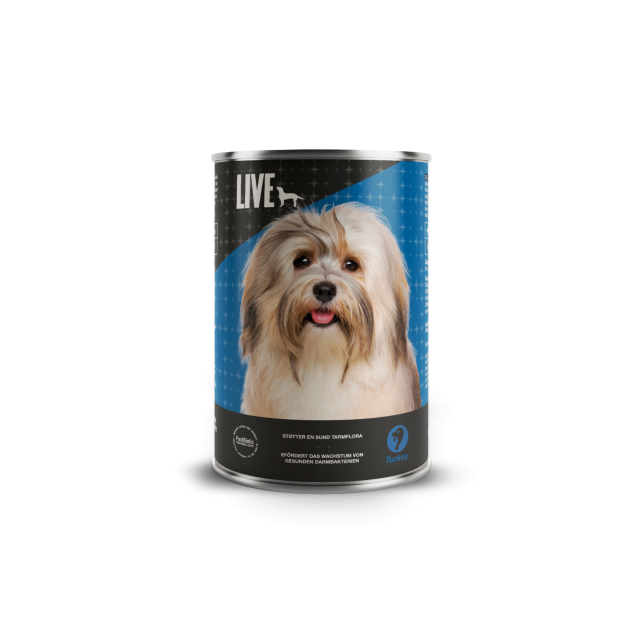 LIVE Dog Wet Truthahn