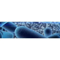 Microbiota: An important player in the health and well-being of our pets