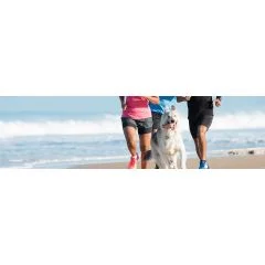 Need a new running-partner?