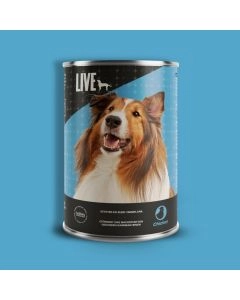 LIVE Dog Wet Huhn